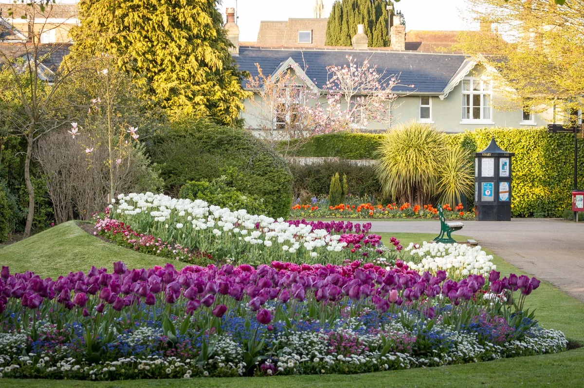 Vivary Park