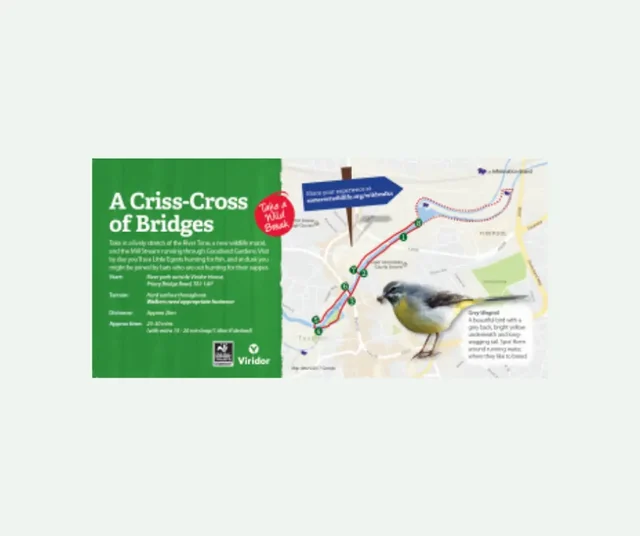 A Criss-Cross of Bridges