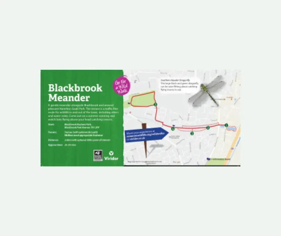 Blackbrook Meander