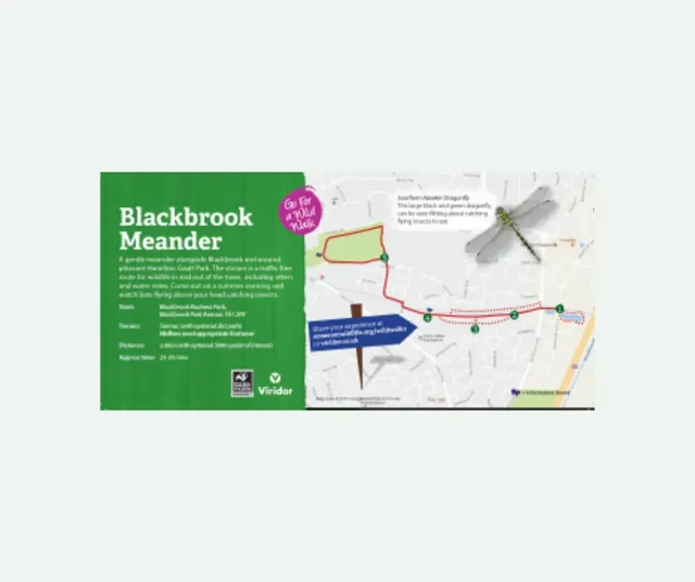 Blackbrook Meander
