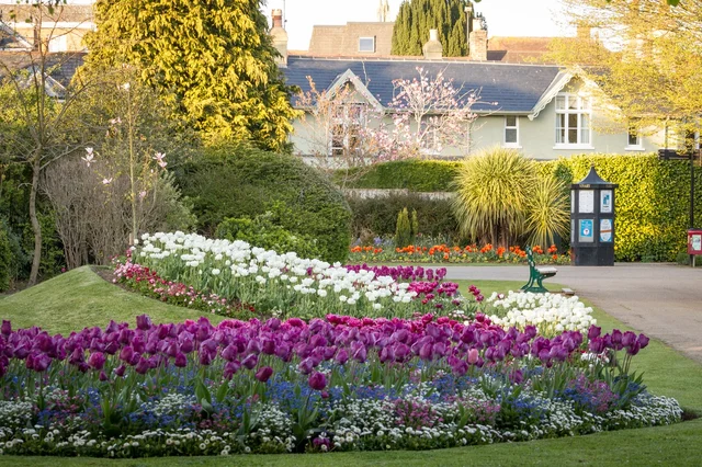 Vivary Park
