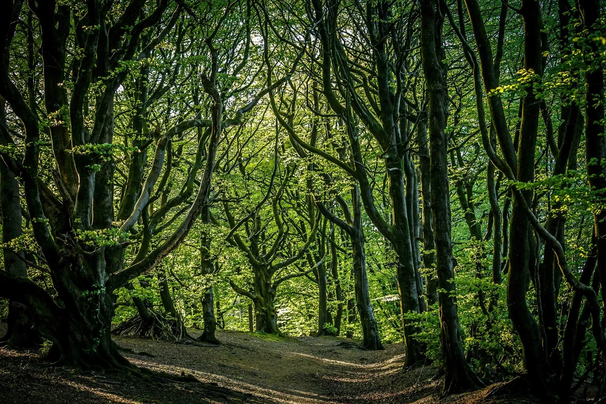 Quantock Hills
