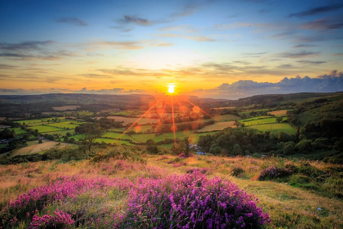 The Quantock Hills