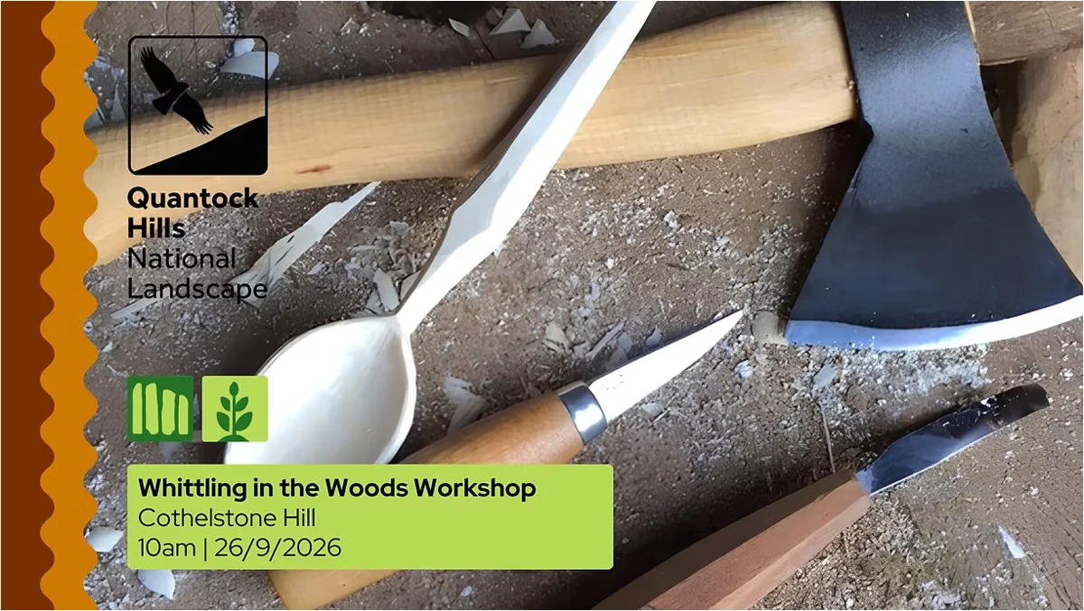 Whittling in the Woods Workshop