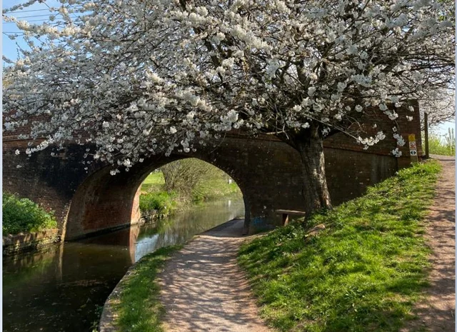 Bridgwater & Taunton Canal