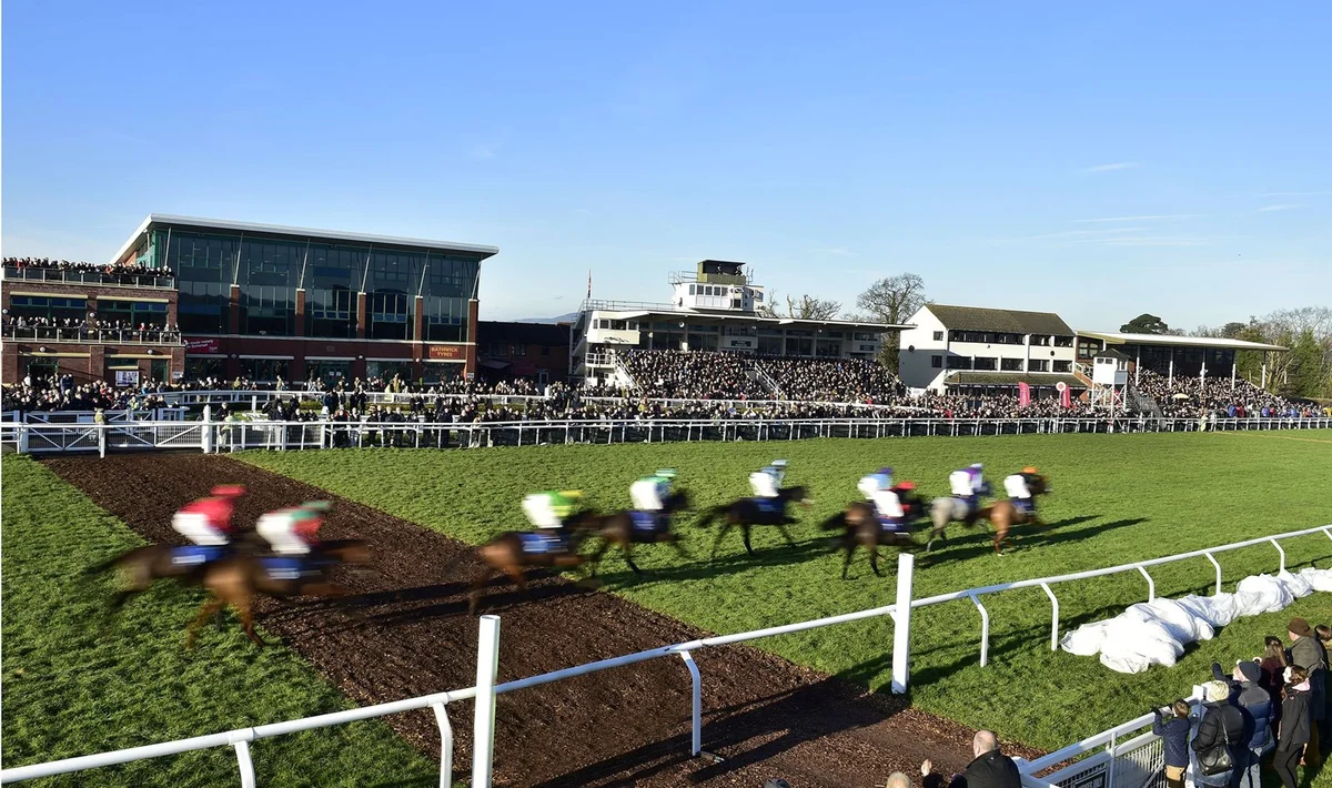 Sports Clubs and Sporting Venues