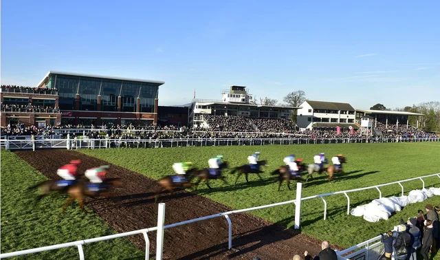 Sports Clubs and Sporting Venues