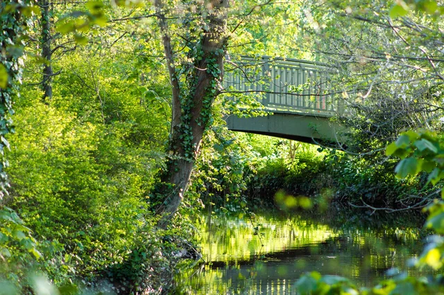 Goodland Gardens