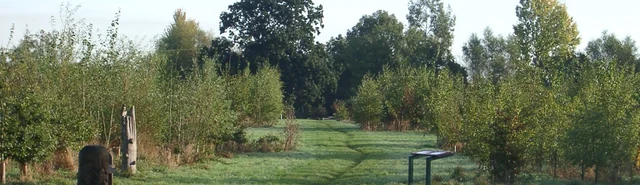 Netherclay Community Woodland